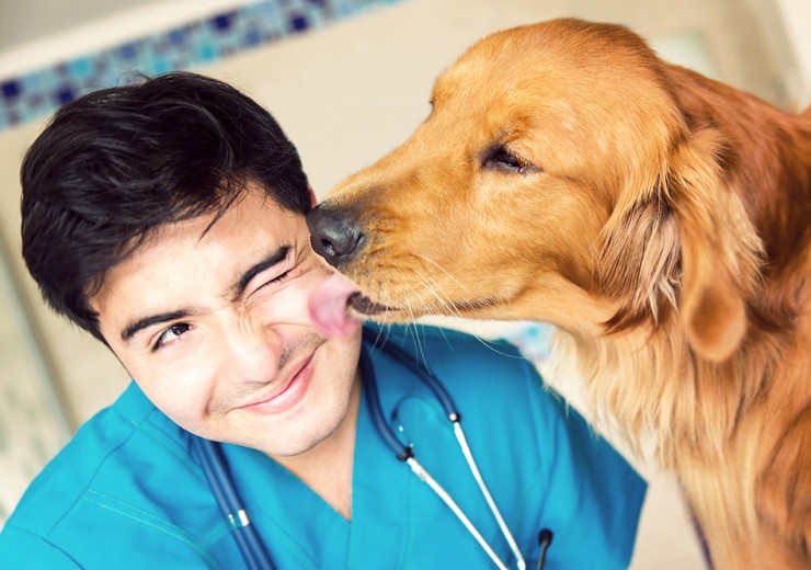 5 Things About Your Vet